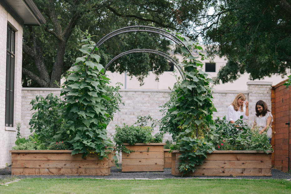 Nicole Burke working as a garden consultant