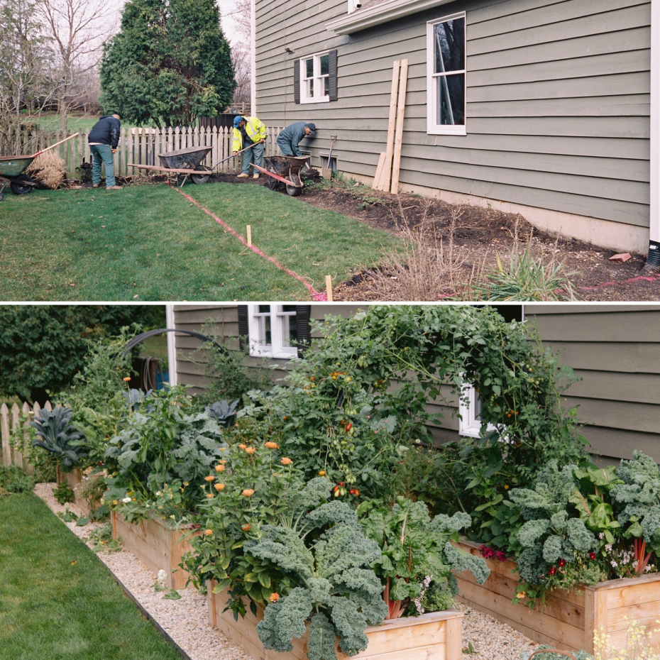 Three Steps To Set Up A Vegetable Garden Gardenary