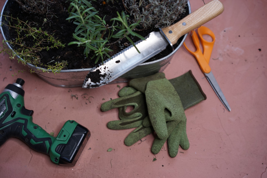 Indoor Herb Garden Guide Gardenary